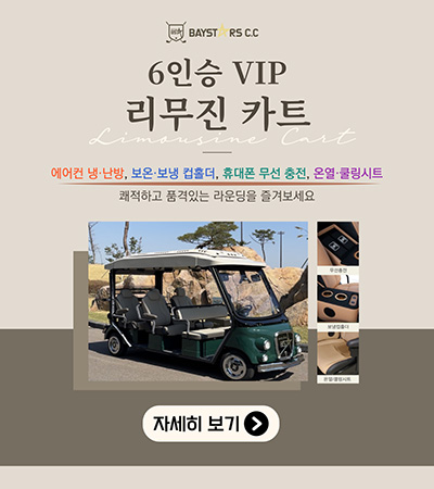 VIP리무진카트